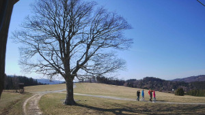 Bludný - Rajnochovice Troják - Bludný - Rajnochovice Troják  - 14.3.2026 v 10:00