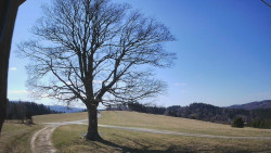 Bludný - Rajnochovice Troják 