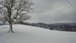 Bludný - Rajnochovice Troják