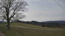 Bludný - Rajnochovice Troják 