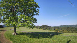 Bludný - Rajnochovice Troják 
