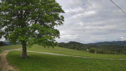 Bludný - Rajnochovice Troják 
