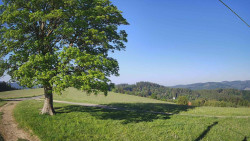 Bludný - Rajnochovice Troják