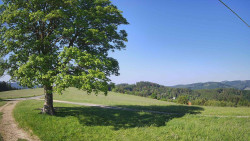 Bludný - Rajnochovice Troják