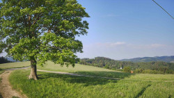 Bludný - Rajnochovice Troják 