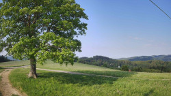 Bludný - Rajnochovice Troják 