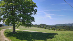Bludný - Rajnochovice Troják 