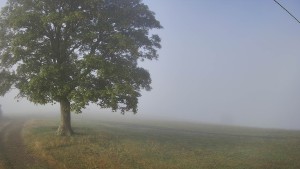 Bludný - Rajnochovice Troják - Wandern – Rajnochovice Troják - 15.9.2026 v 08:30