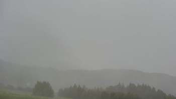 Snímek    12.7.2025 v 16:31