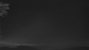 Bludný - Rajnochovice Troják - Bludný - Rajnochovice Troják - 25.2.2026 v 04:31 Bludný - Rajnochovice Troják - Bludný - Rajnochovice Troják - 25.2.2026 v 04:31