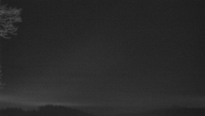 Bludný - Rajnochovice Troják - Bludný - Rajnochovice Troják - 25.2.2026 v 05:31 Bludný - Rajnochovice Troják - Bludný - Rajnochovice Troják - 25.2.2026 v 05:31