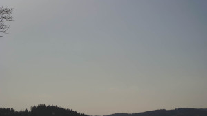 Bludný - Rajnochovice Troják - Bludný - Rajnochovice Troják  - 11.3.2026 v 14:31