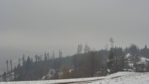 Bludný - Rajnochovice Troják - Bludný - Rajnochovice Troják - 1.4.2026 v 08:31 Bludný - Rajnochovice Troják - Bludný - Rajnochovice Troják - 1.4.2026 v 08:31