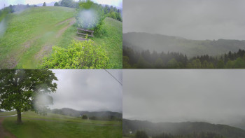 Snímek    15.5.2025 v 08:31