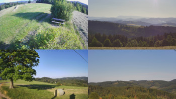 Snímek    3.7.2025 v 07:01