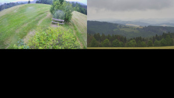 Snímek    4.7.2025 v 06:32