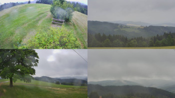Snímek    4.7.2025 v 07:01