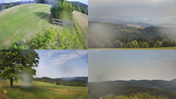 Snímek    4.7.2025 v 08:31
