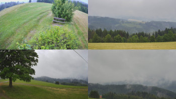 Snímek    7.7.2025 v 07:31