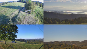 Snímek    19.9.2025 v 07:31
