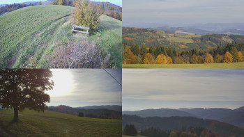 Snímek    21.10.2025 v 15:31