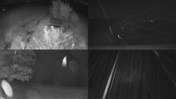 Snímek    24.10.2025 v 04:31