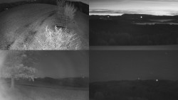 Sdružený snímek Bludný