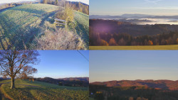 Sdružený snímek Bludný