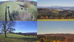 Sdružený snímek Bludný