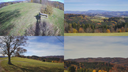 Sdružený snímek Bludný