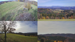 Sdružený snímek Bludný