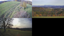 Sdružený snímek Bludný