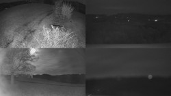 Sdružený snímek Bludný