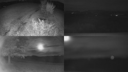 Sdružený snímek Bludný