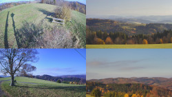 Sdružený snímek Bludný