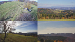 Sdružený snímek Bludný