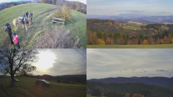 Sdružený snímek Bludný