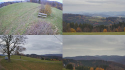 Sdružený snímek Bludný