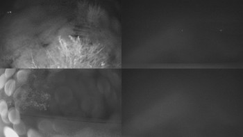 Snímek    3.11.2025 v 00:01