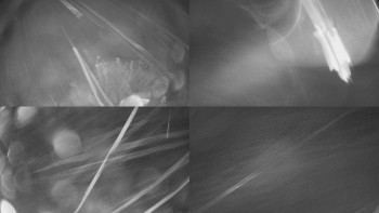 Snímek    3.11.2025 v 03:31