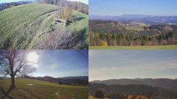 Sdružený snímek Bludný