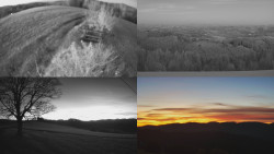 Sdružený snímek Bludný