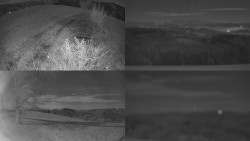 Sdružený snímek Bludný