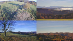 Sdružený snímek Bludný