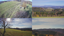 Sdružený snímek Bludný