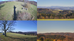 Sdružený snímek Bludný