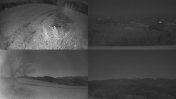 Sdružený snímek Bludný