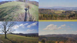 Sdružený snímek Bludný