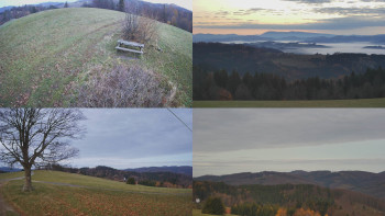 Snímek 8.11.2025 v 06:31