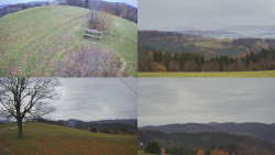 Sdružený snímek Bludný